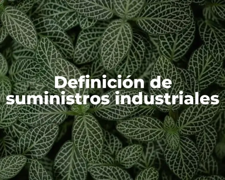 Definición de suministros industriales