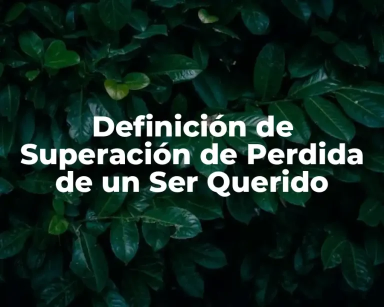 Definición de Superación de Perdida de un Ser Querido