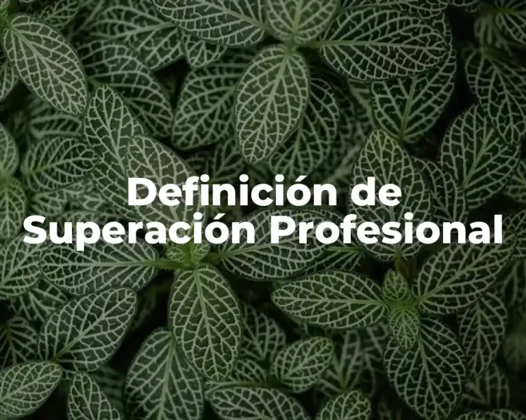 Definición de Superación Profesional