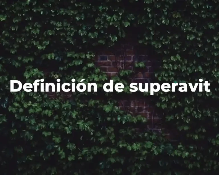 Definición de superavit