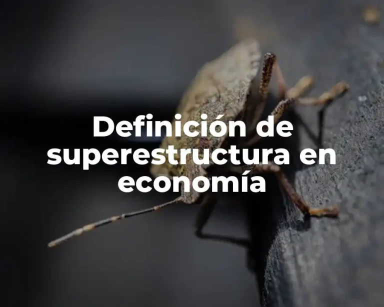 Definición de superestructura en economía