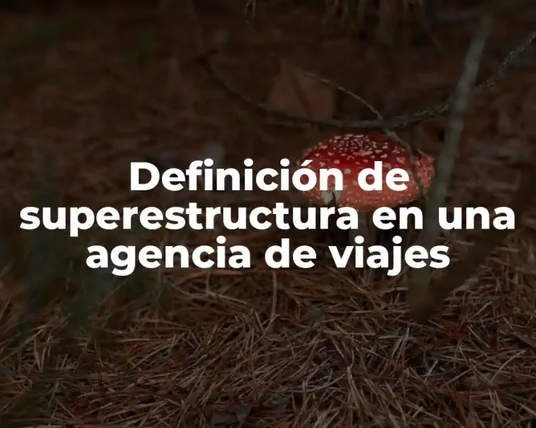 Definición de superestructura en una agencia de viajes