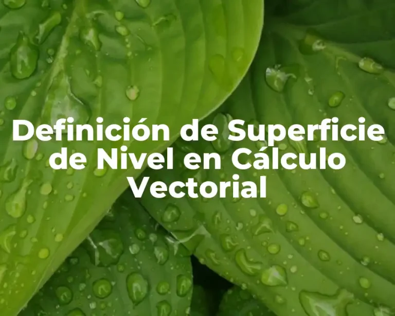 Definición de Superficie de Nivel en Cálculo Vectorial