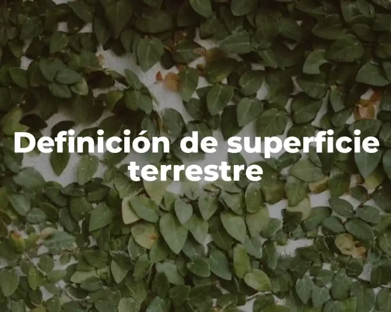Definición de superficie terrestre