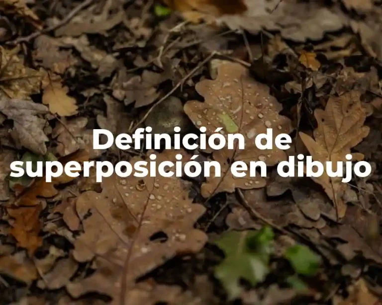 Definición de superposición en dibujo