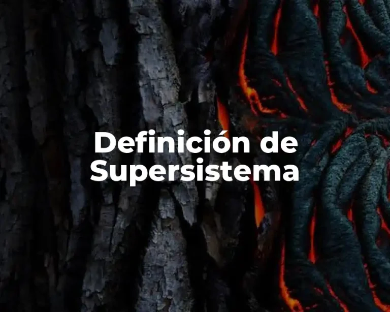 Definición de Supersistema