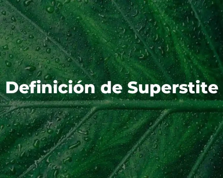 Definición de Superstite