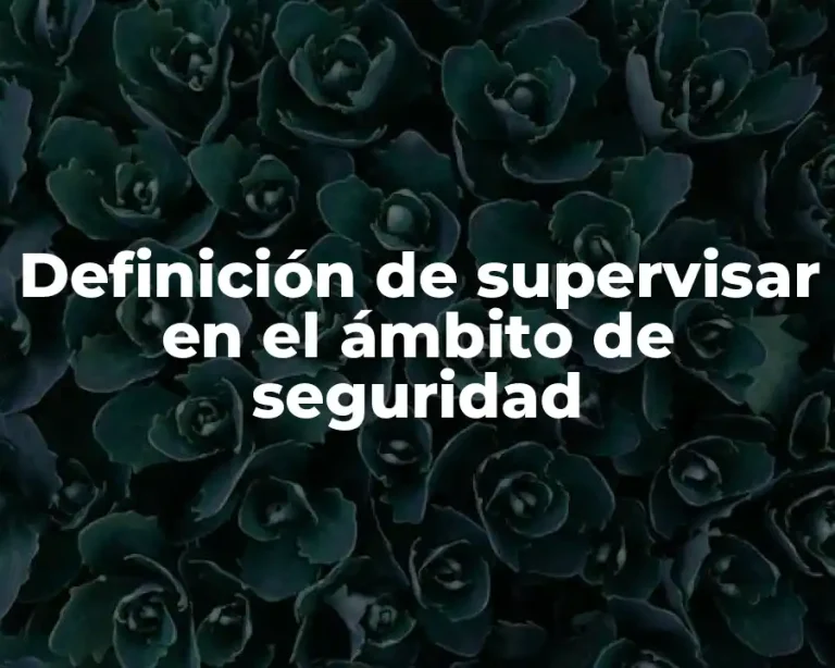 Definición de supervisar en el ámbito de seguridad