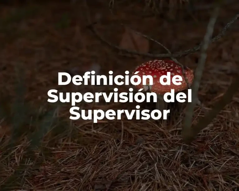 Definición de Supervisión del Supervisor
