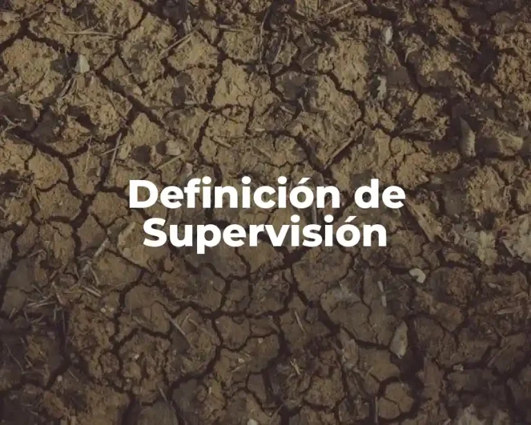 Definición de Supervisión
