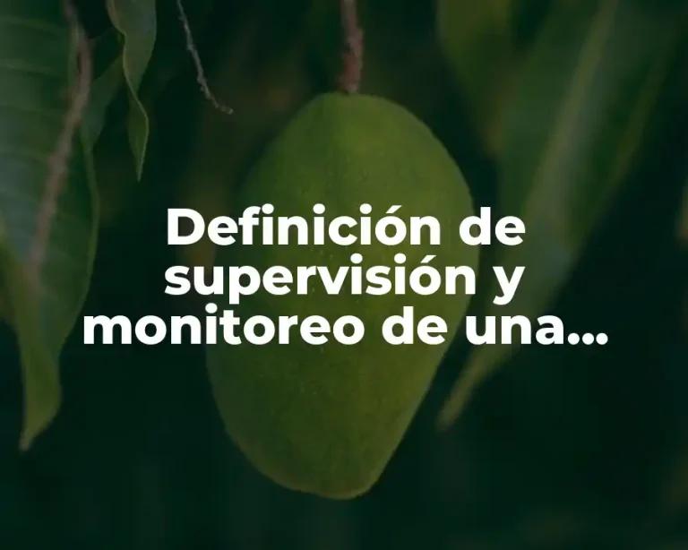 Definición de supervisión y monitoreo de una empresa