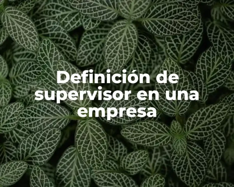 Definición de supervisor en una empresa