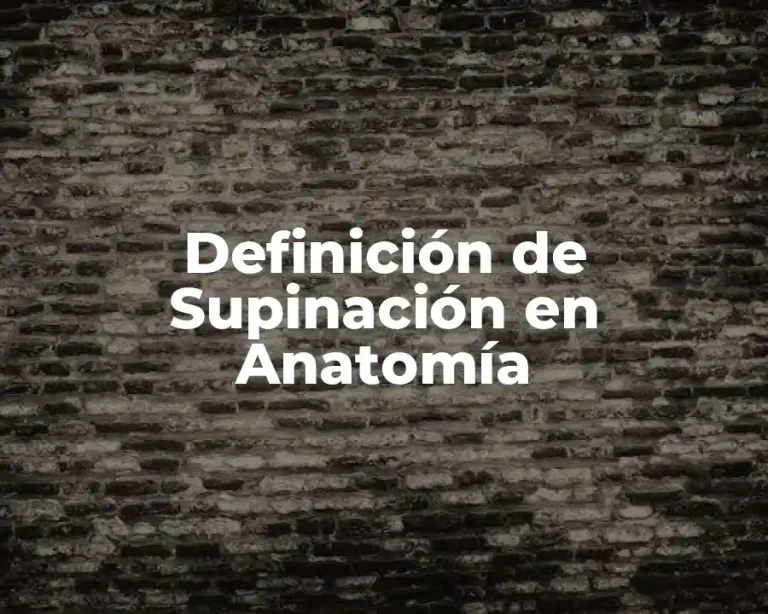 Definición de Supinación en Anatomía