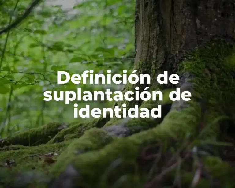 Definición de suplantación de identidad