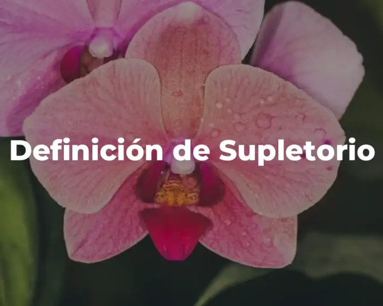 Definición de Supletorio
