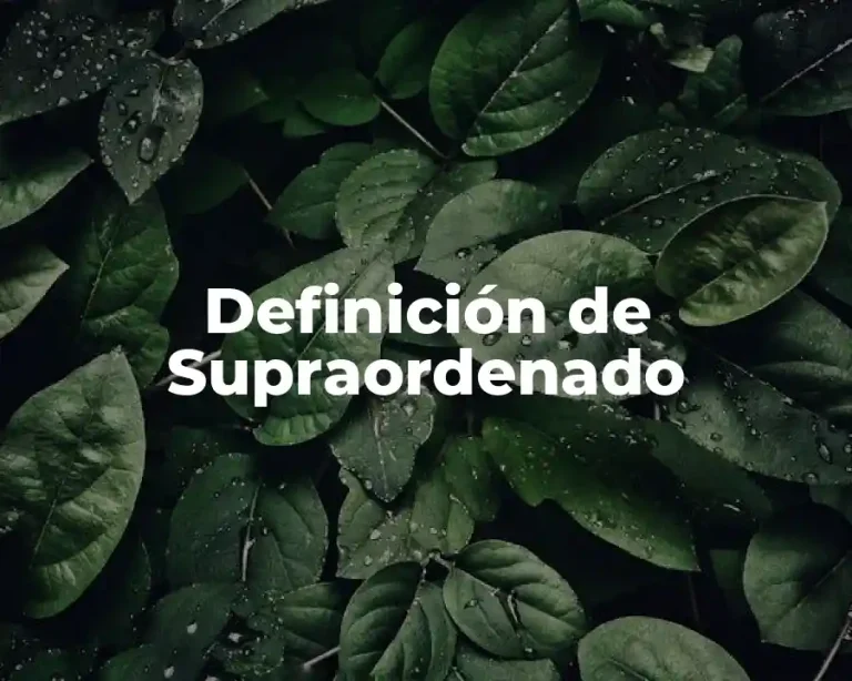 Definición de Supraordenado