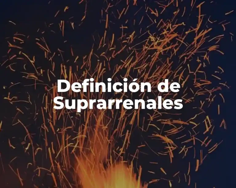 Definición de Suprarrenales