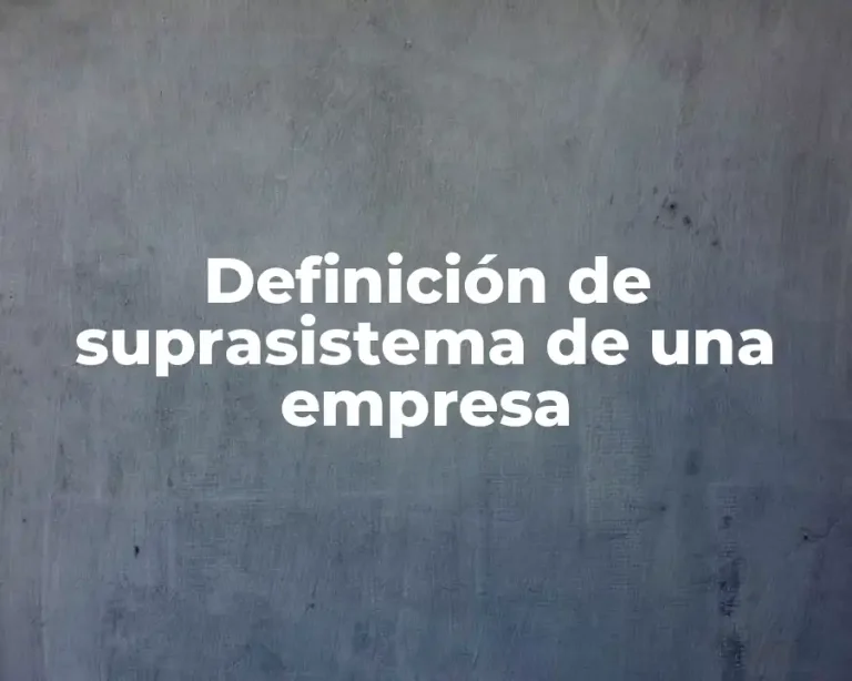 Definición de suprasistema de una empresa