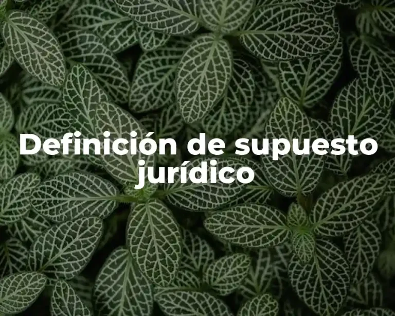 Definición de supuesto jurídico