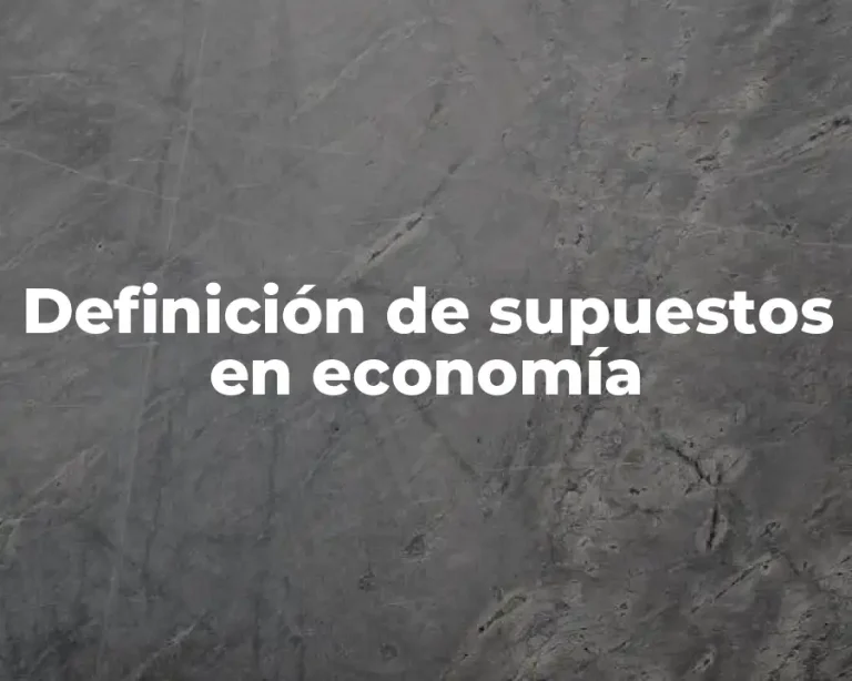 Definición de supuestos en economía