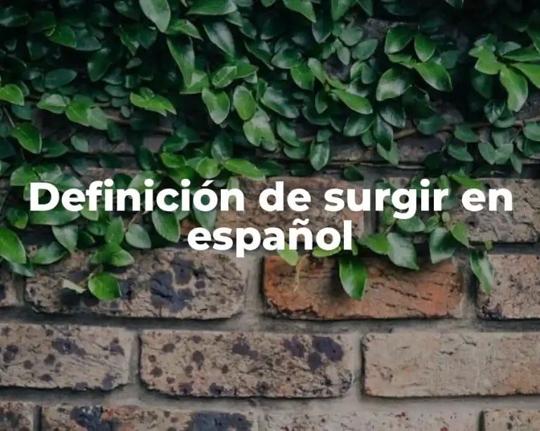Definición de surgir en español