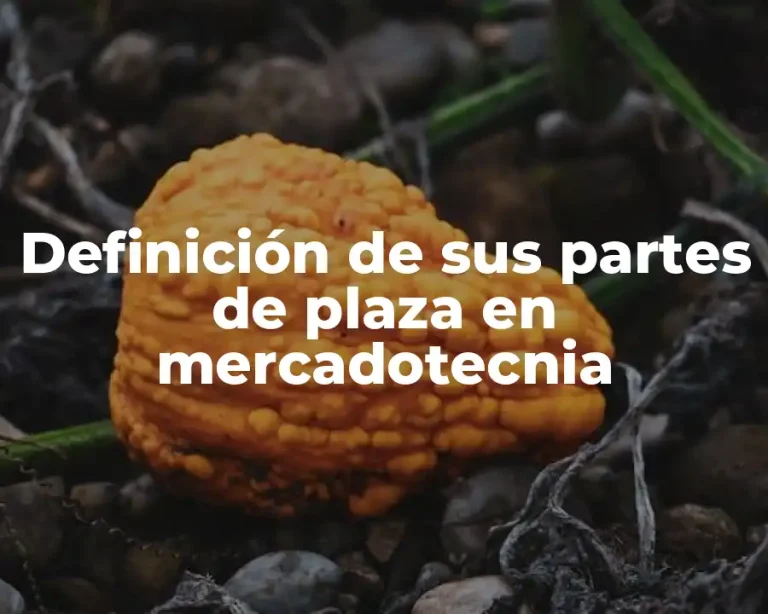 Definición de sus partes de plaza en mercadotecnia