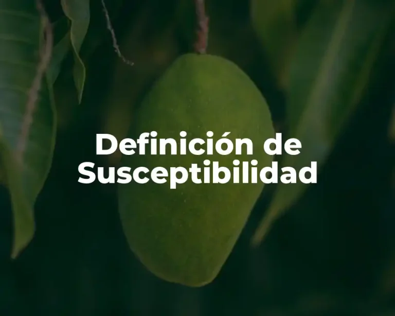 Definición de Susceptibilidad