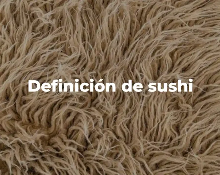 Definición de sushi