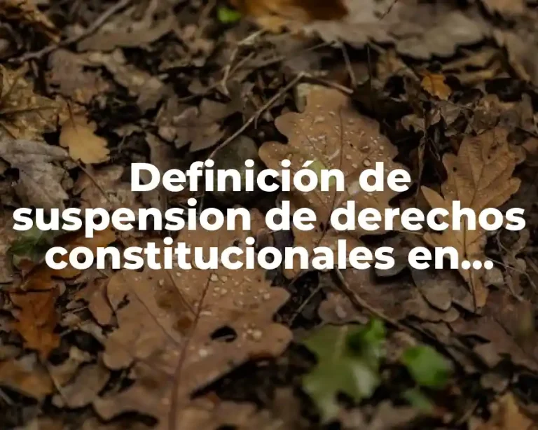 Definición de suspension de derechos constitucionales en México
