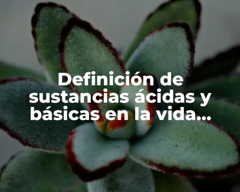 Definición de sustancias ácidas y básicas en la vida cotidiana