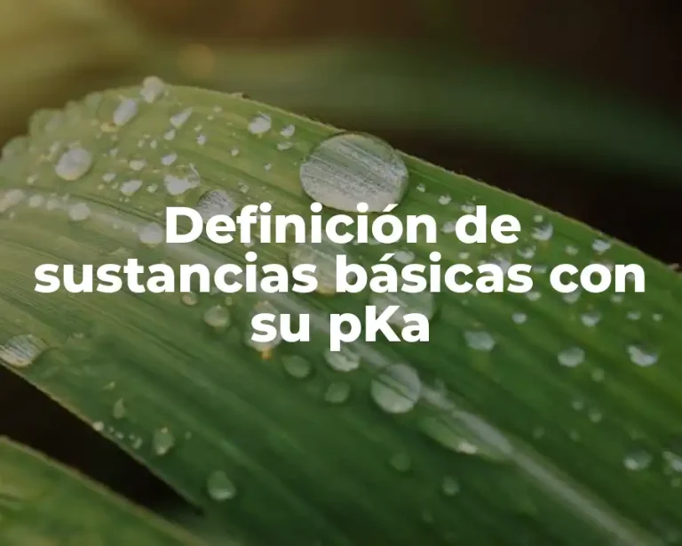 Definición de sustancias básicas con su pKa