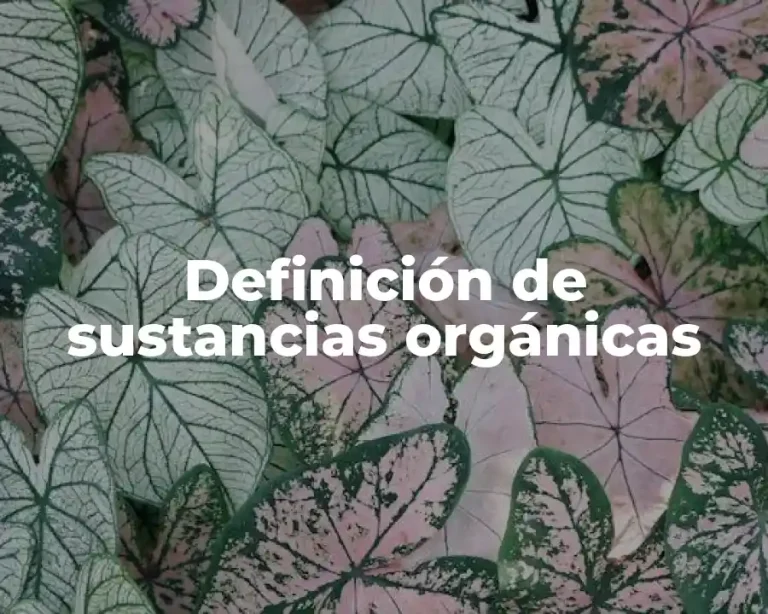 Definición de sustancias orgánicas