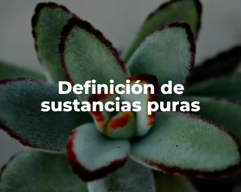 Definición de sustancias puras