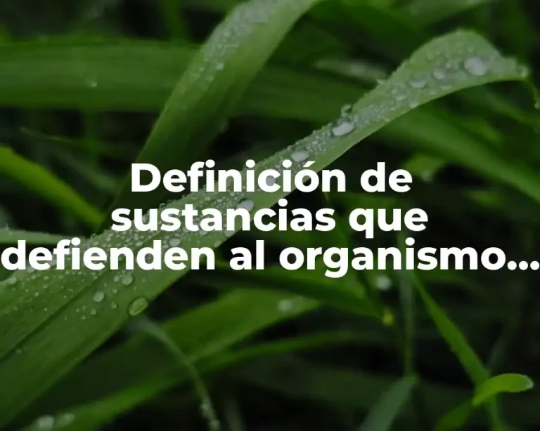 Definición de sustancias que defienden al organismo de factores externos