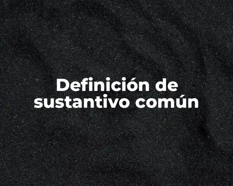 Definición de sustantivo común