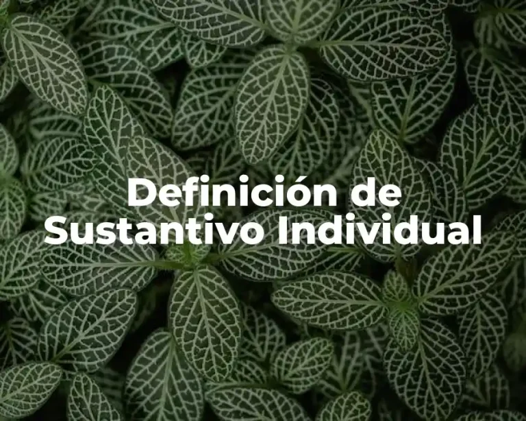 Definición de Sustantivo Individual