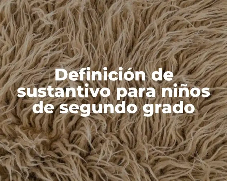 Definición de sustantivo para niños de segundo grado
