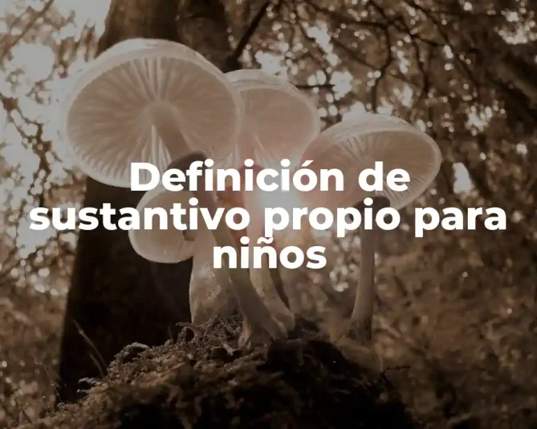 Definición de sustantivo propio para niños