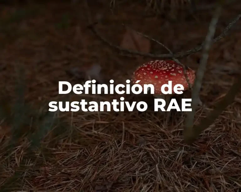 Definición de sustantivo RAE