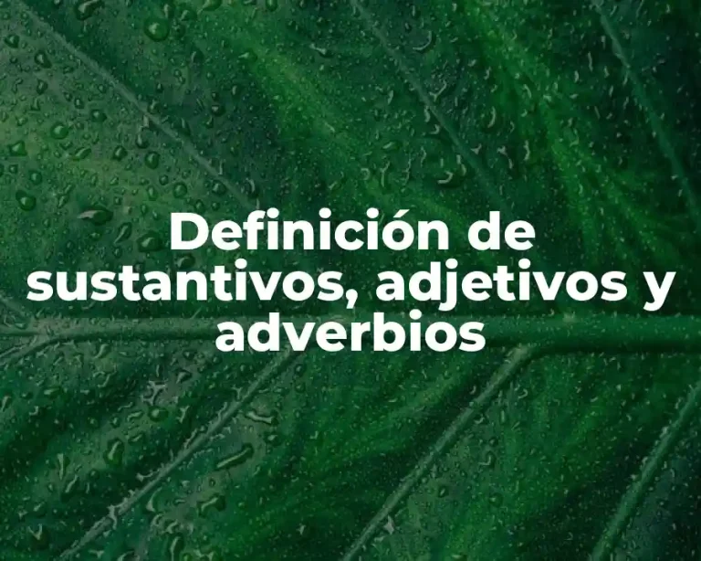 Definición de sustantivos, adjetivos y adverbios