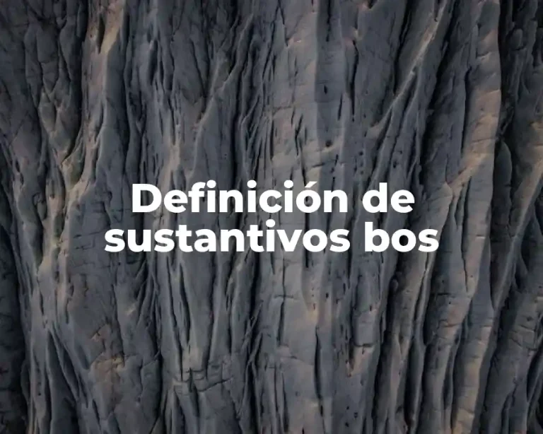 Definición de sustantivos bos