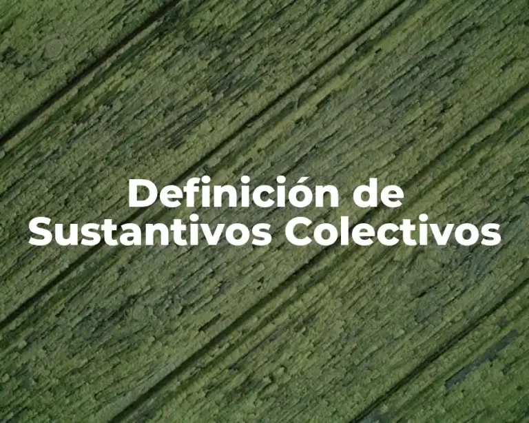 Definición de Sustantivos Colectivos