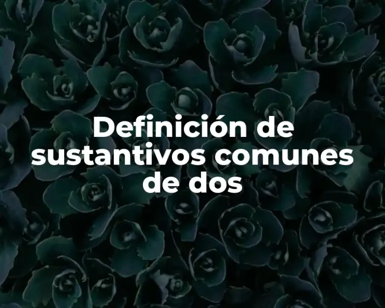 Definición de sustantivos comunes de dos