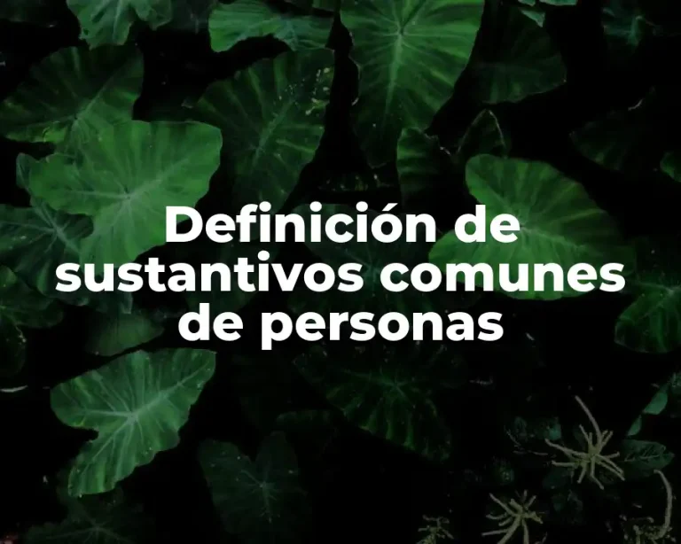 Definición de sustantivos comunes de personas