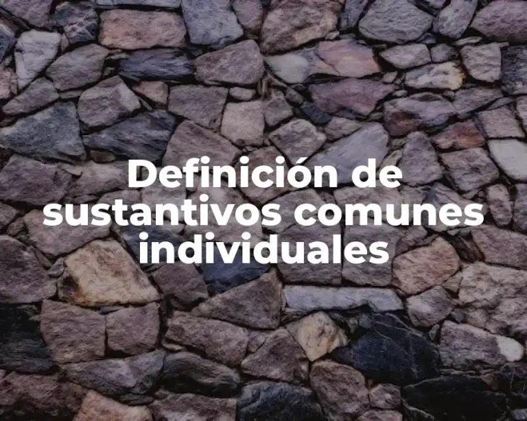 Definición de sustantivos comunes individuales