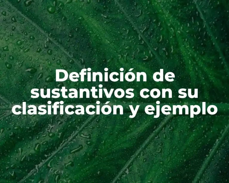Definición de sustantivos con su clasificación y ejemplo
