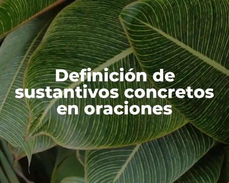 Definición de sustantivos concretos en oraciones