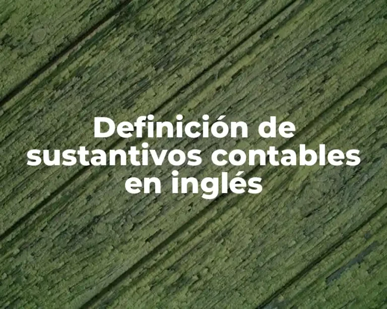 Definición de sustantivos contables en inglés