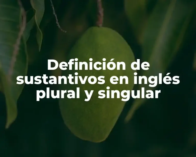 Definición de sustantivos en inglés plural y singular