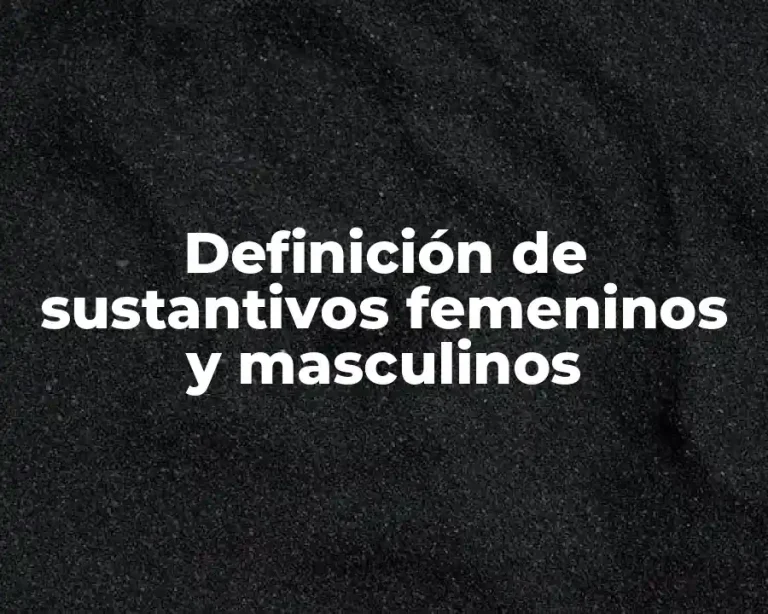 Definición de sustantivos femeninos y masculinos